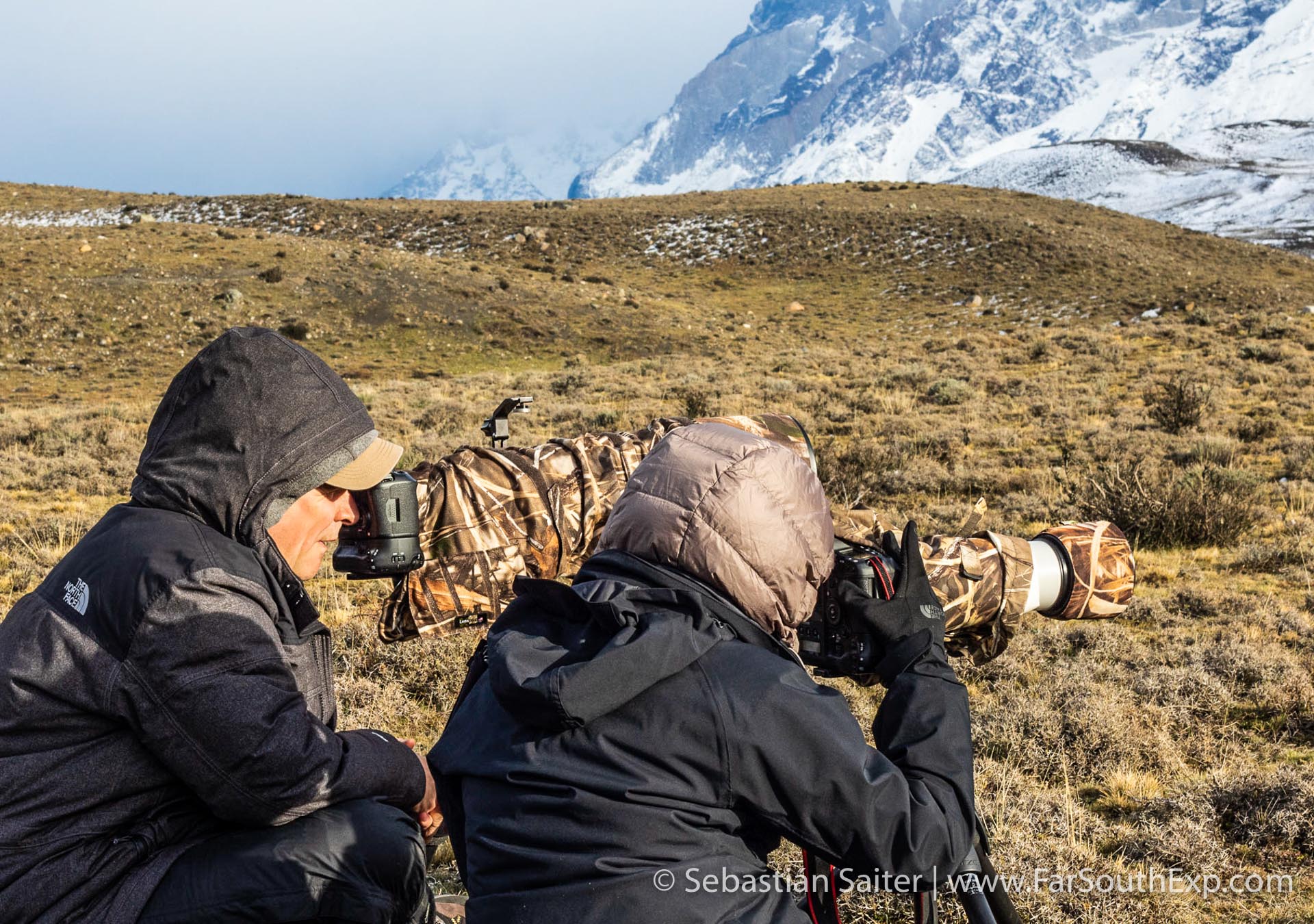 puma-tracking in patagonia