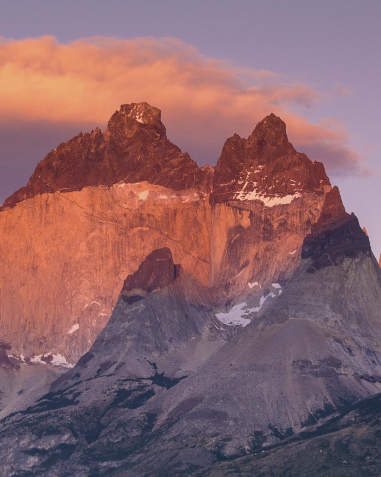 Torres del Paine wildlife explorer trip