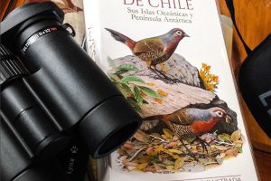 "Aves de Chile, Sus Islas Oceánicas y Península Antártica" Enrique Couve, Claudio F. Vidal & Jorge Ruiz T., FS Editorial, Chile (2016)