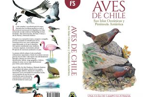 "Aves de Chile, Sus Islas Oceánicas y Península Antártica" by Enrique Couve, Claudio F. Vidal & Jorge Ruiz T. (FS Editorial, 2016)