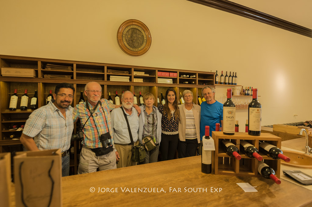Wine tours in chile and argentina