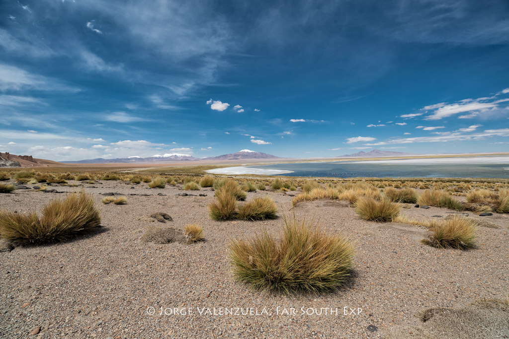 Salar de Tara, near San Pedro de Atacama, Chile © Jorge Valenzuela, Far South Exp