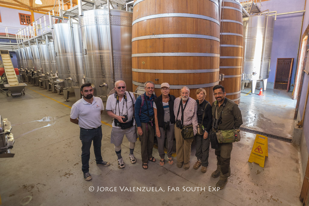 Visiting Santa Cruz vineyards, Colchagua, Chile © Jorge Valenzuela, Far South Exp