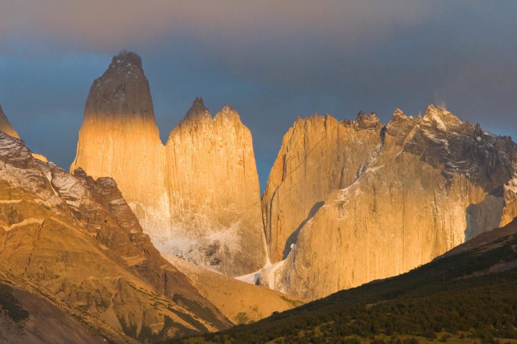 Ultimate Patagonia Wildlife Trip
