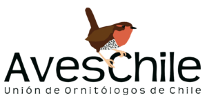 Far South Exp, proud conservation partner of AvesChile (Chilean Ornithologists Union)