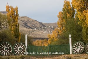 perito moreno glacier tours