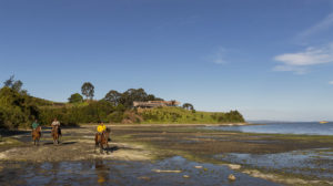 Tierra Chiloe Hotel & Spa