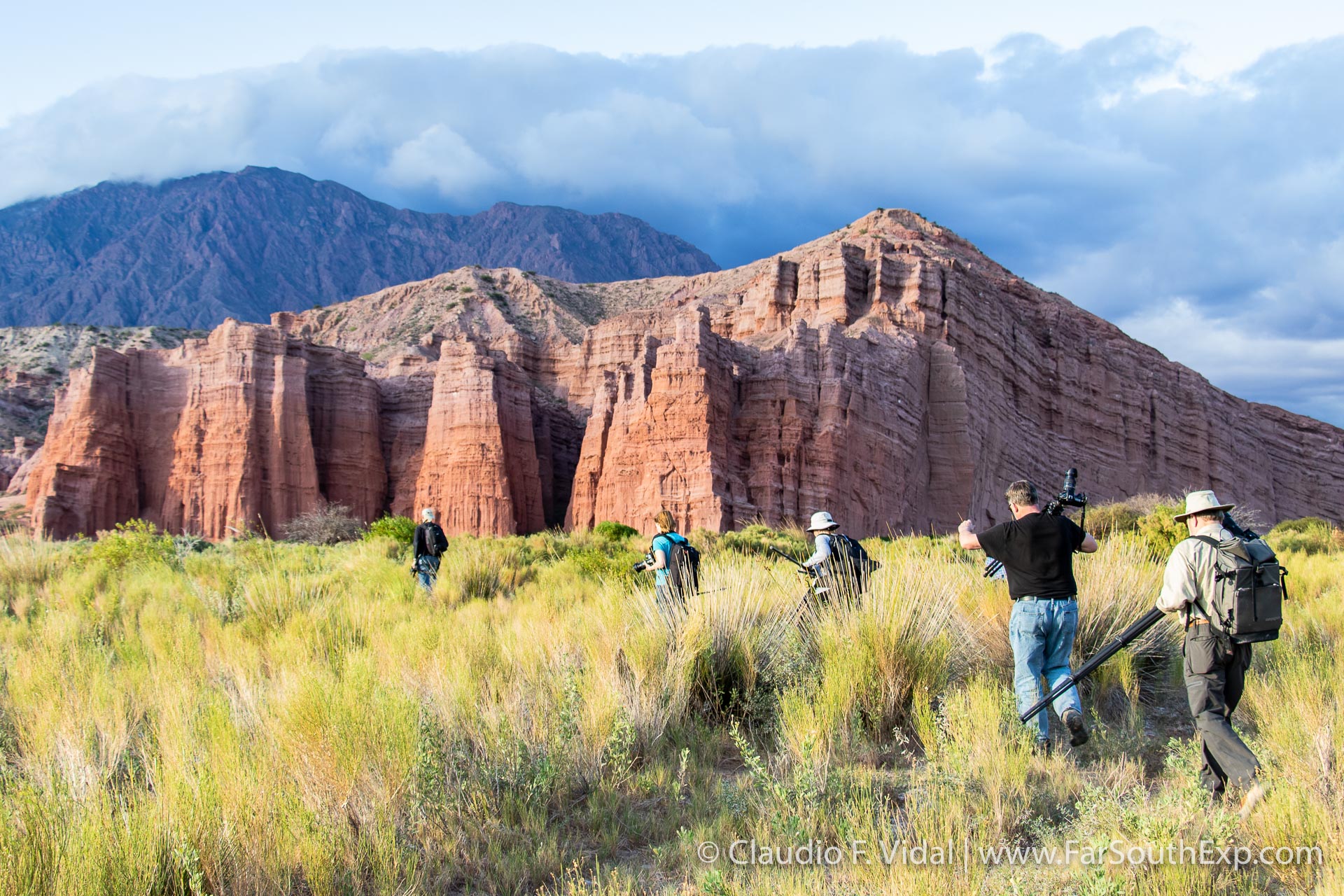 Argentina Nature Trips Argentina Wildlife Tours Far South Expeditions