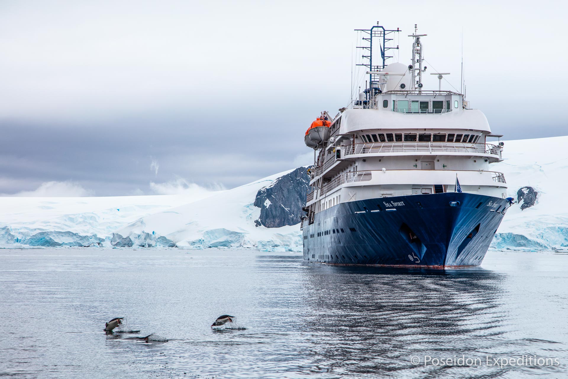 antarctic peninsula cruise aboard M/V Sea Spirit