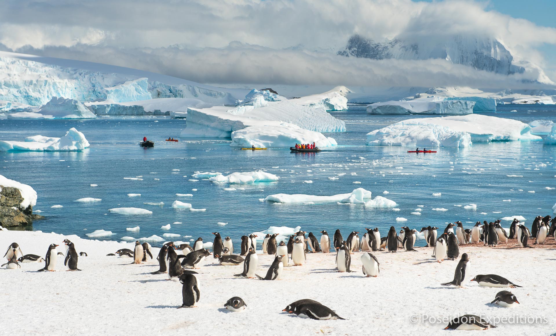 12-day antarctic peninsula cruise