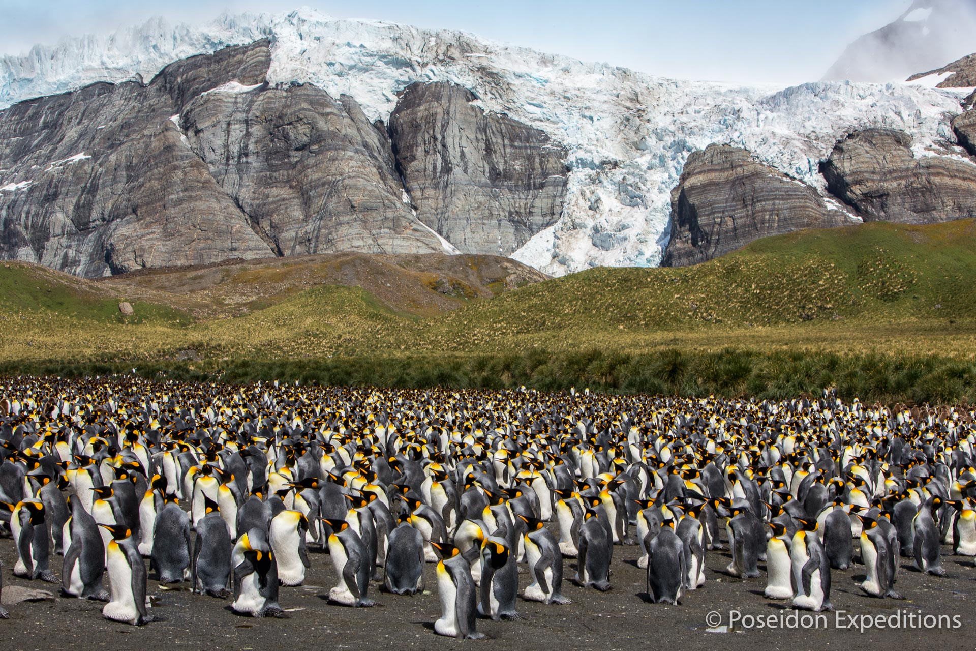 South Georgia Antarctic Peninsula Cruise | Falklands | Far South Exp