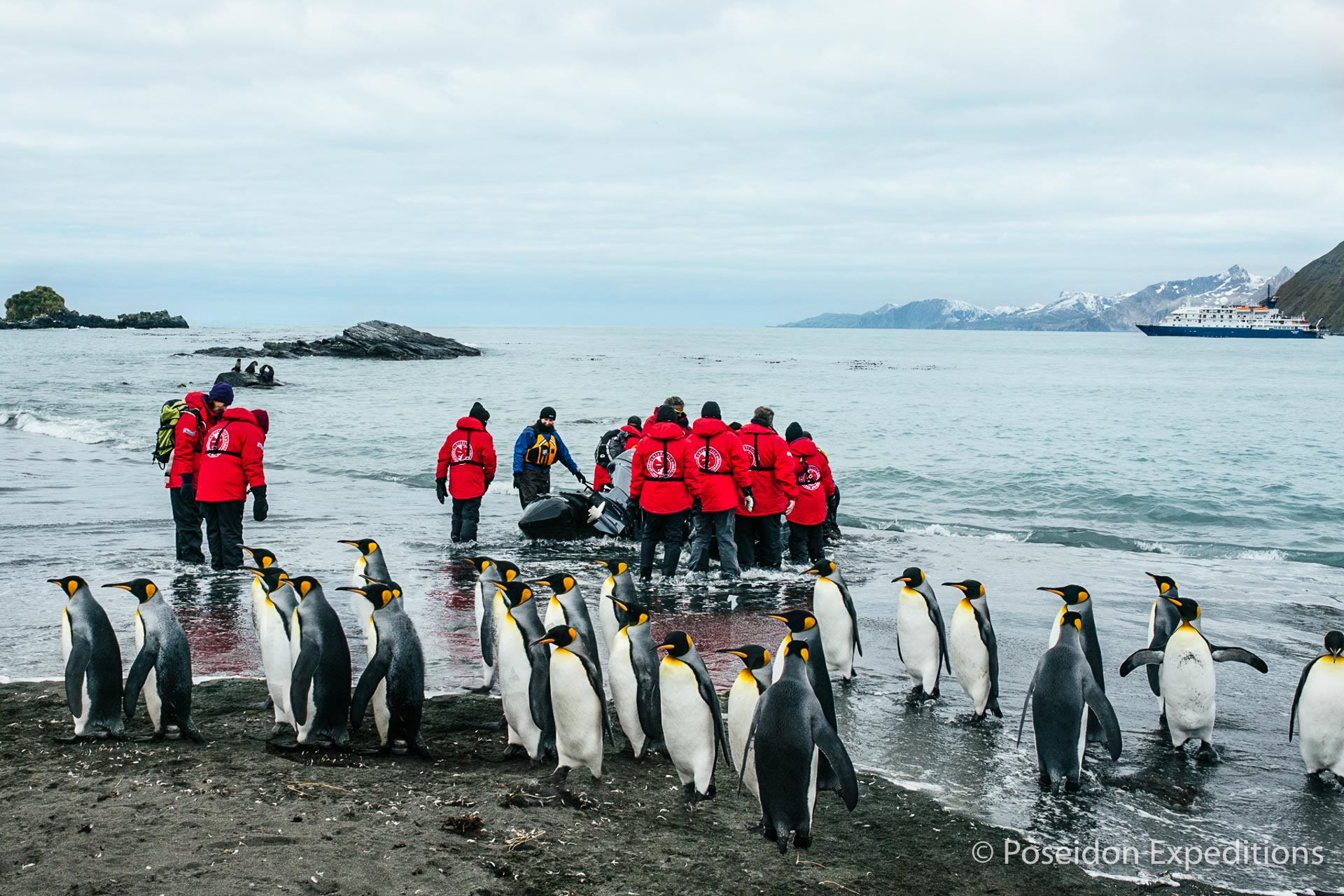 Falklands South Antarctica cruise Antarctica Far South Exp