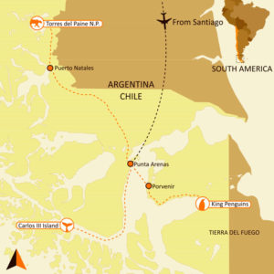 ultimate patagonia wildlife trip