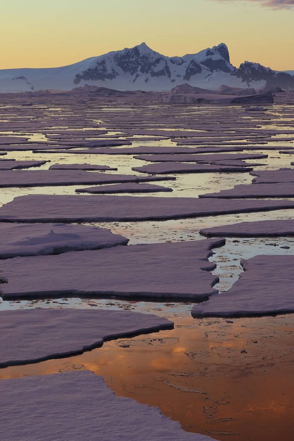 Sunset / sunrise as we travel below the Antarctic Circle, Antarctica.
