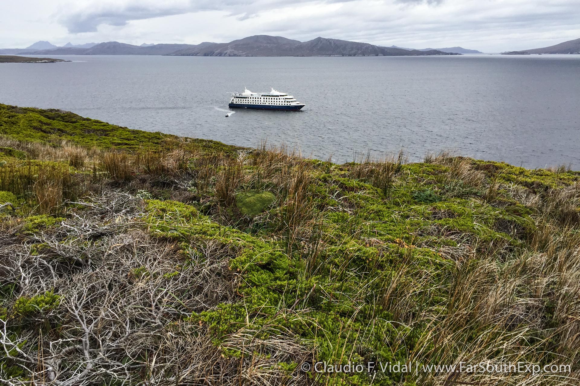 cape horn island