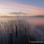 birding chile lake district