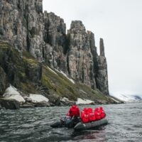 spitsbergen svalbard arctic wildlife safari