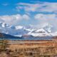 Expedición Fotográfica en Patagonia  – Fauna, naturaleza y paisajes inolvidables.