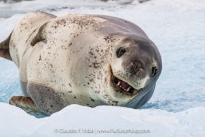 tierra del fuego photo expedition