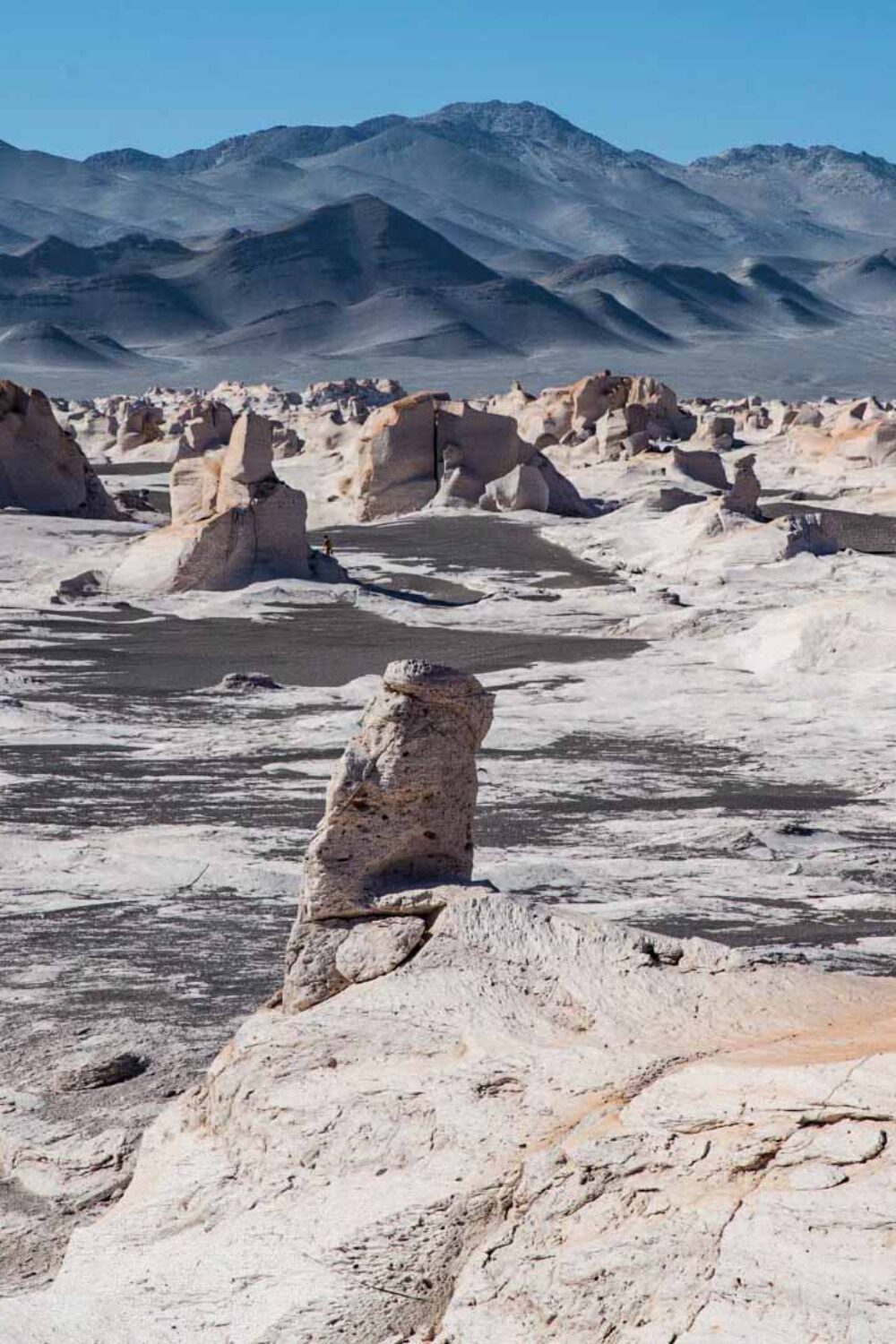 argentina nature trips