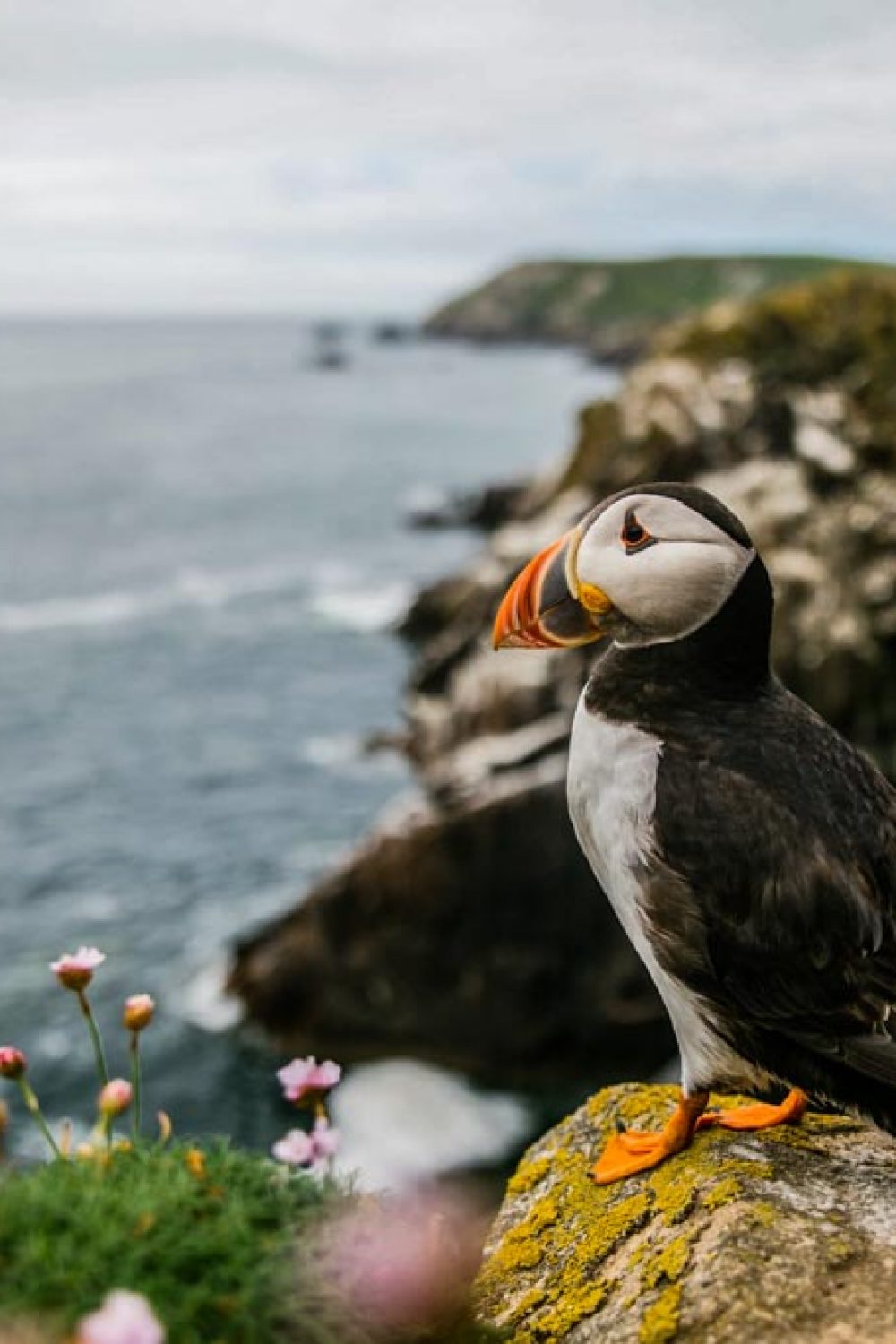british-isles–26