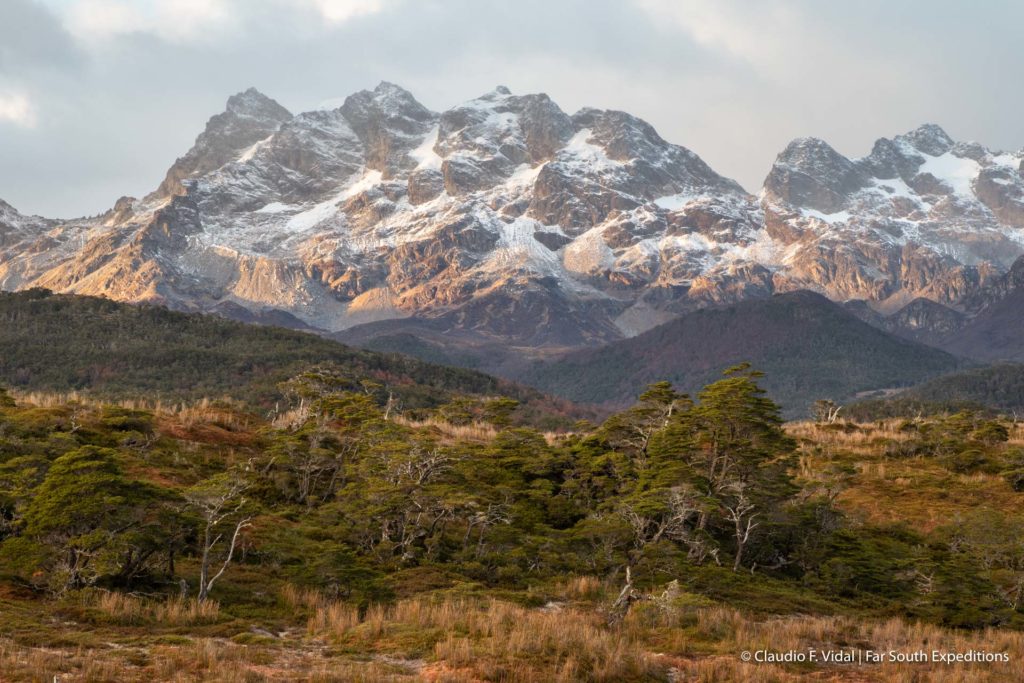 tierra del fuego trips