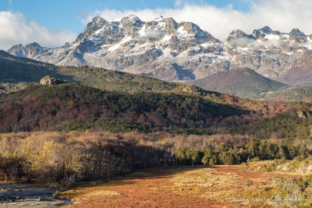 tierra del fuego nature