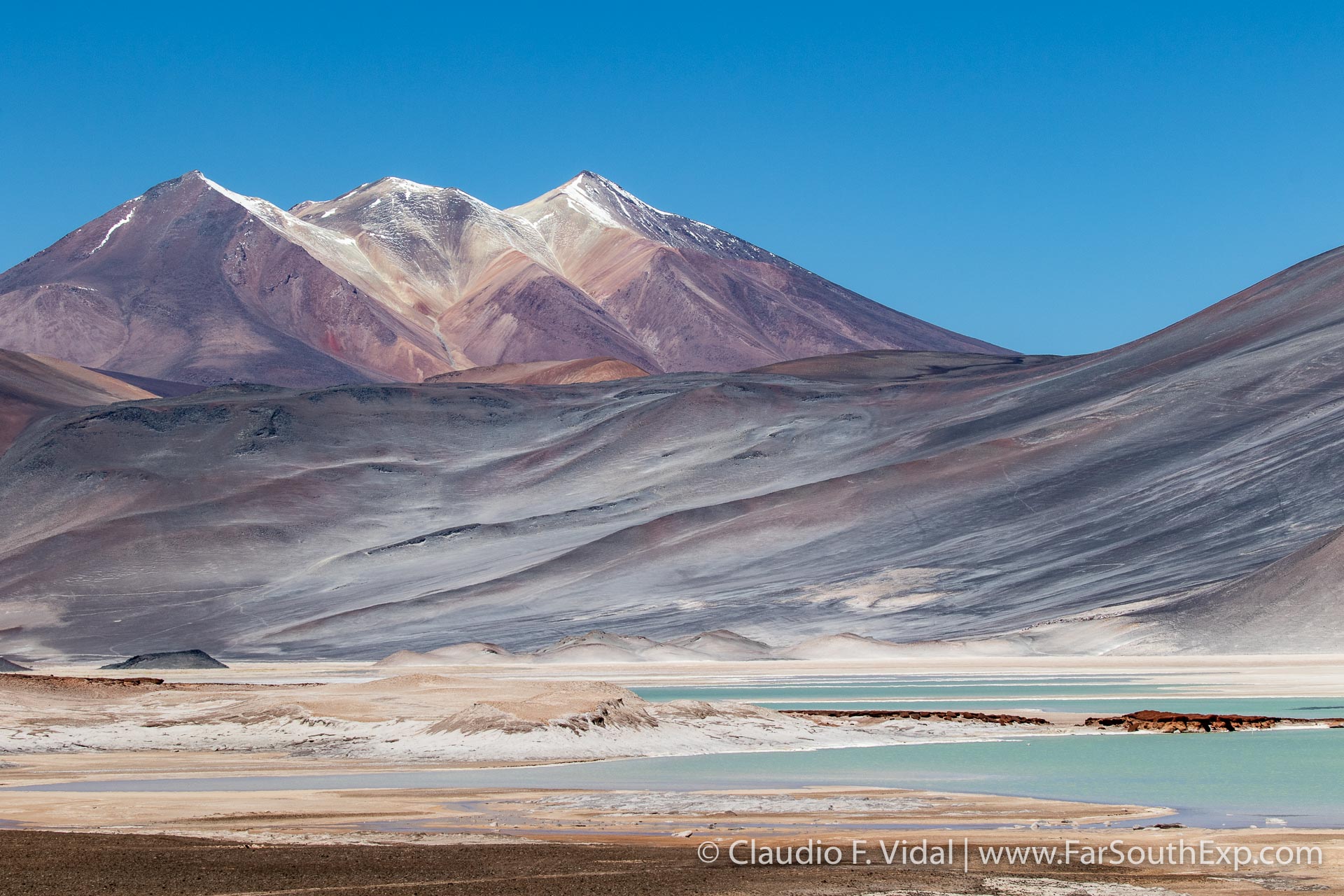 Atacama Fotoreisen und Natursafaris