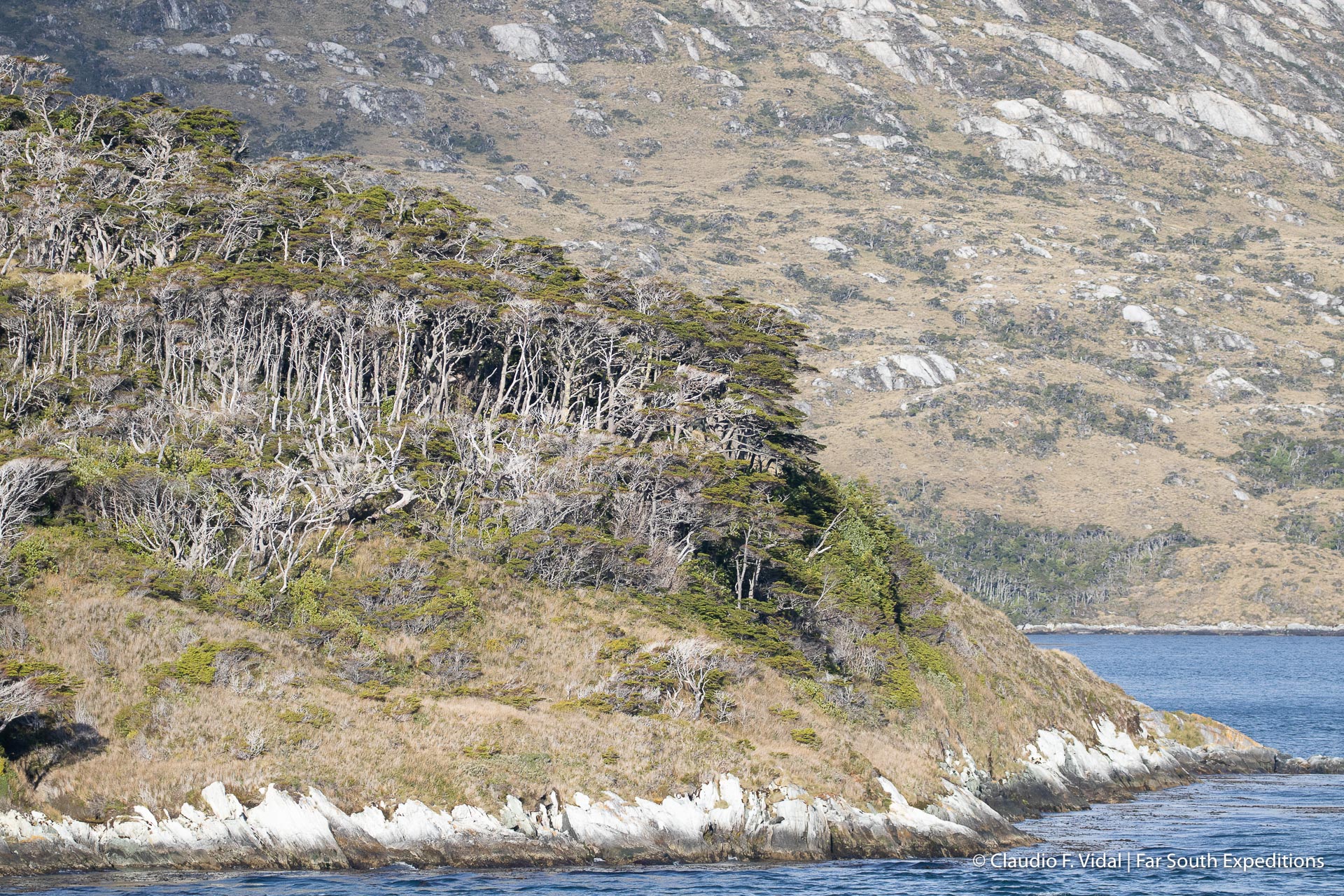 Cape Horn round trip