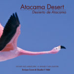 Die Atacama-Wüste. Enrique Couve und Claudio F. Vidal, Far South Expeditions
