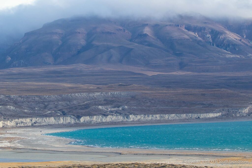 patagonia national park