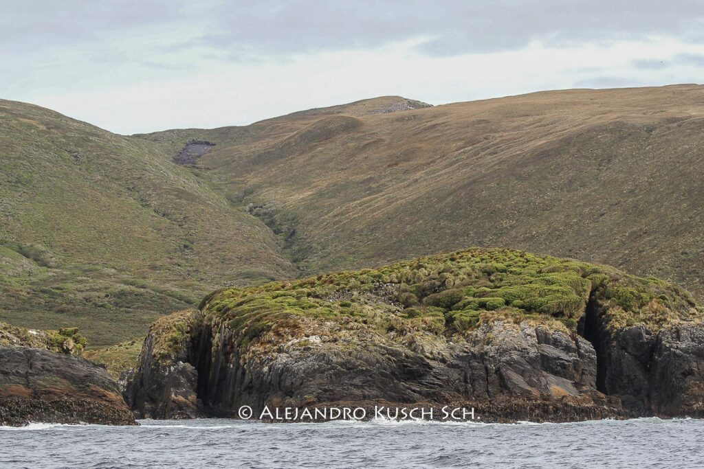 Expedición Isla Noir