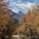 Farbenfrohe Natur im atemberaubenden Nordpatagonien