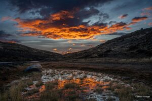 autumn in patagonia