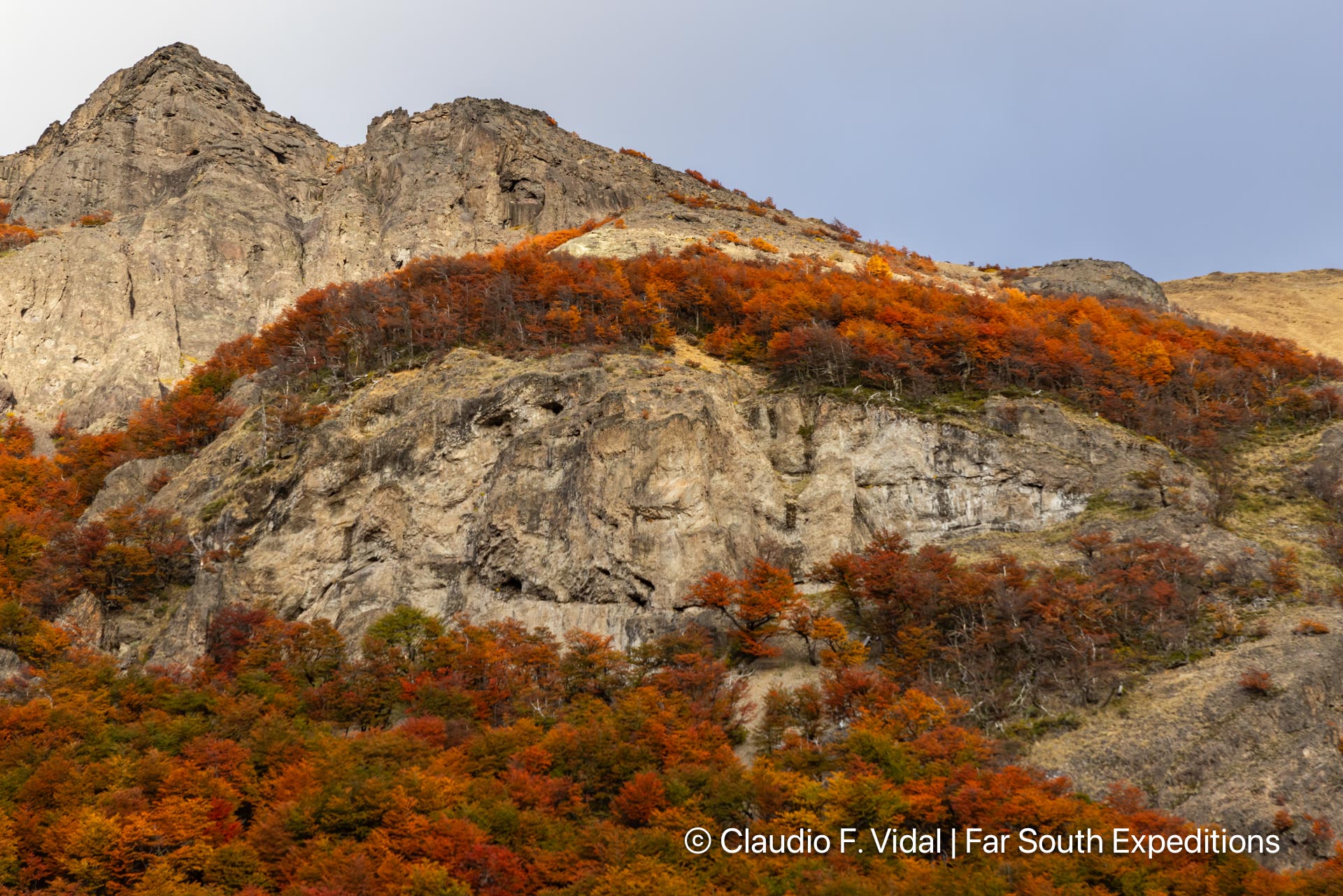 northern patagonia photography tour