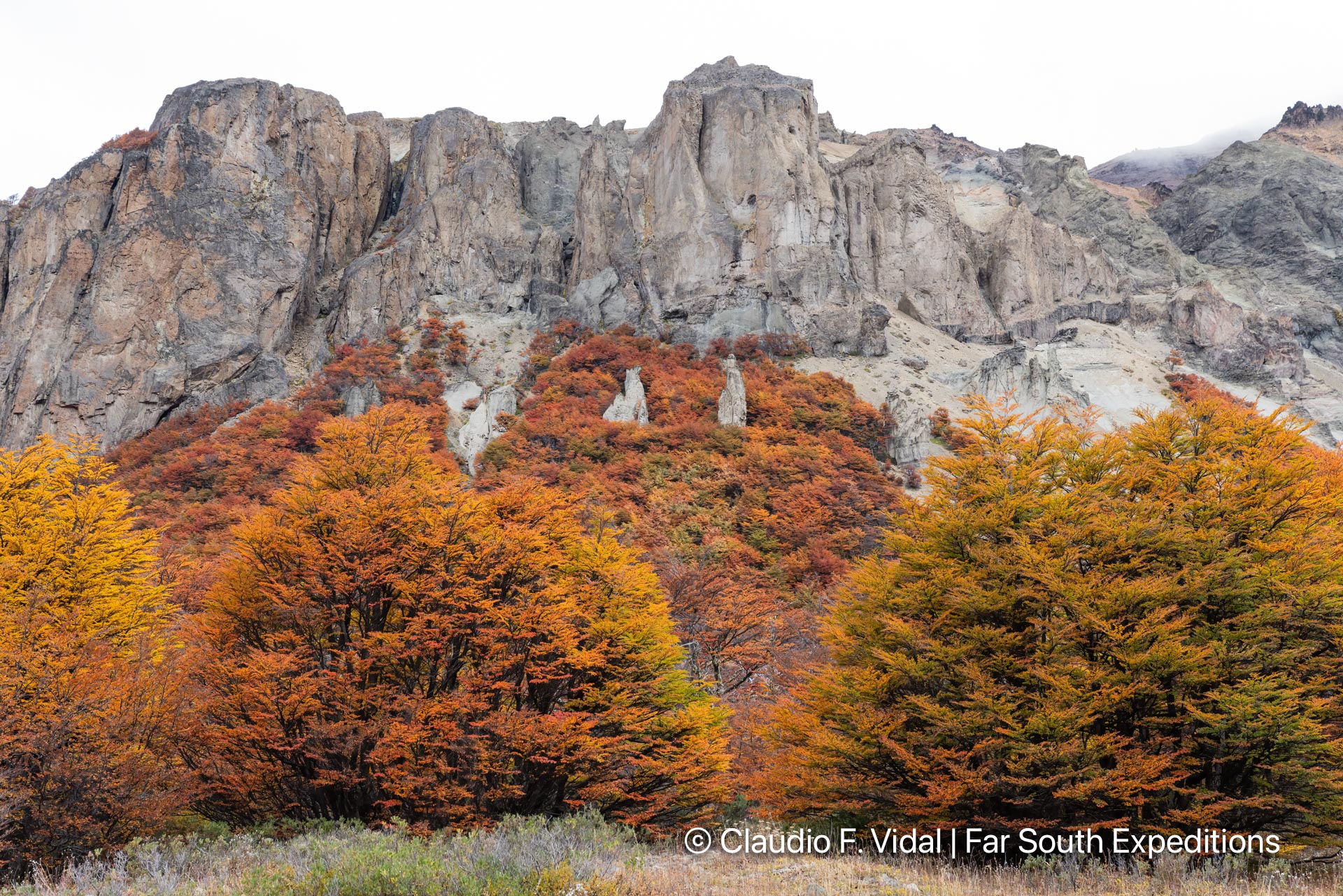 northern patagonia photography tour