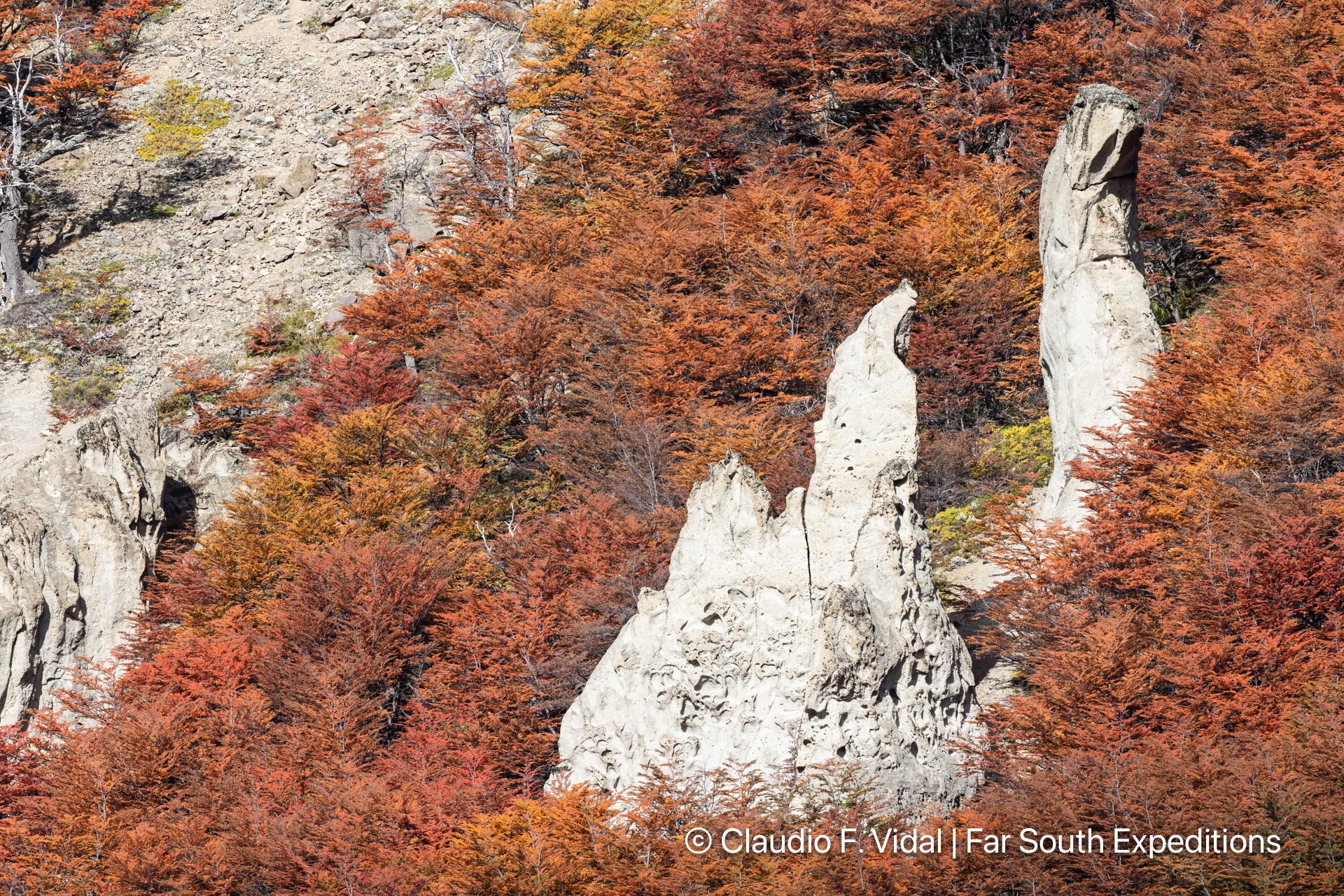 northern patagonia photography tour