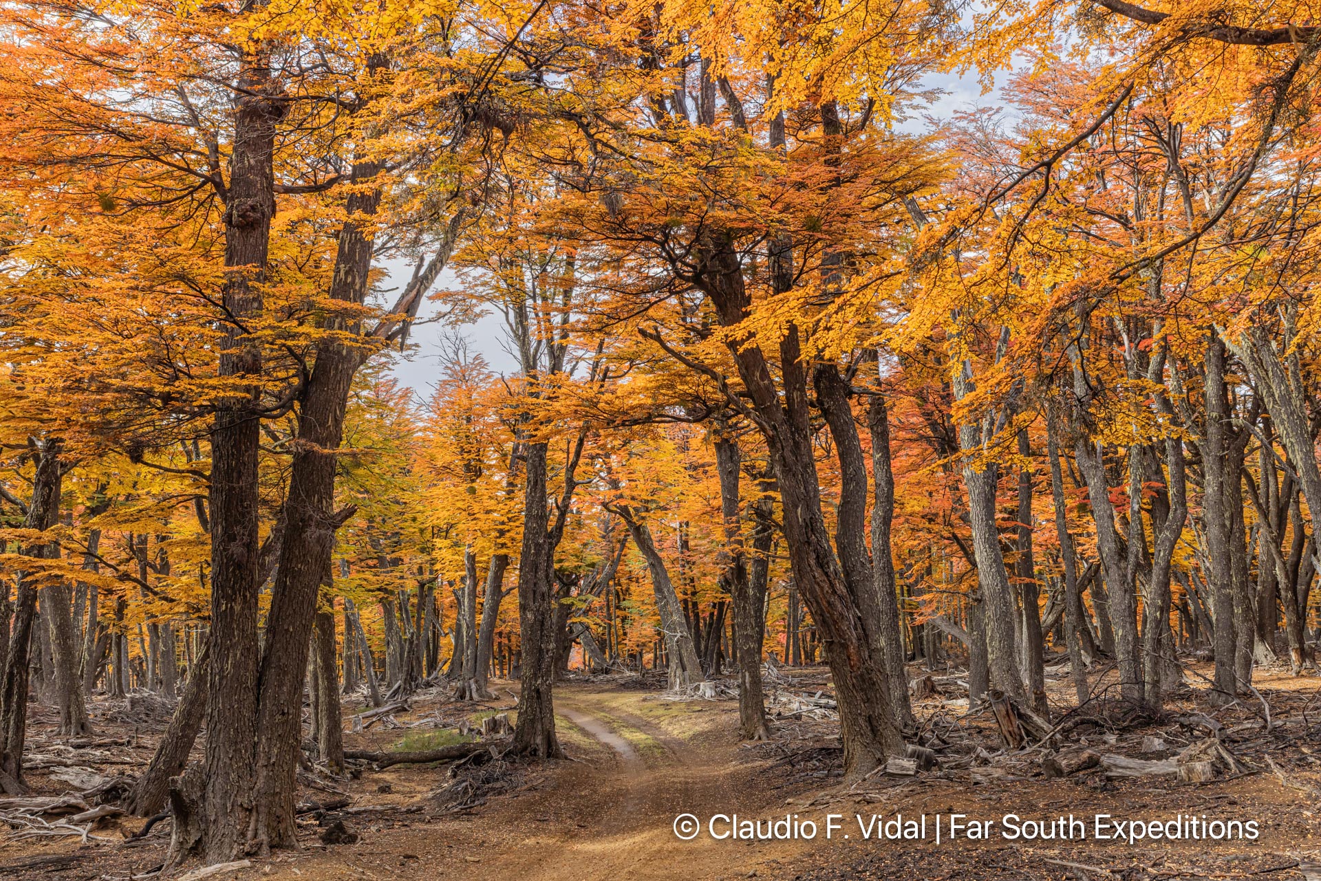 northern patagonia photography tour