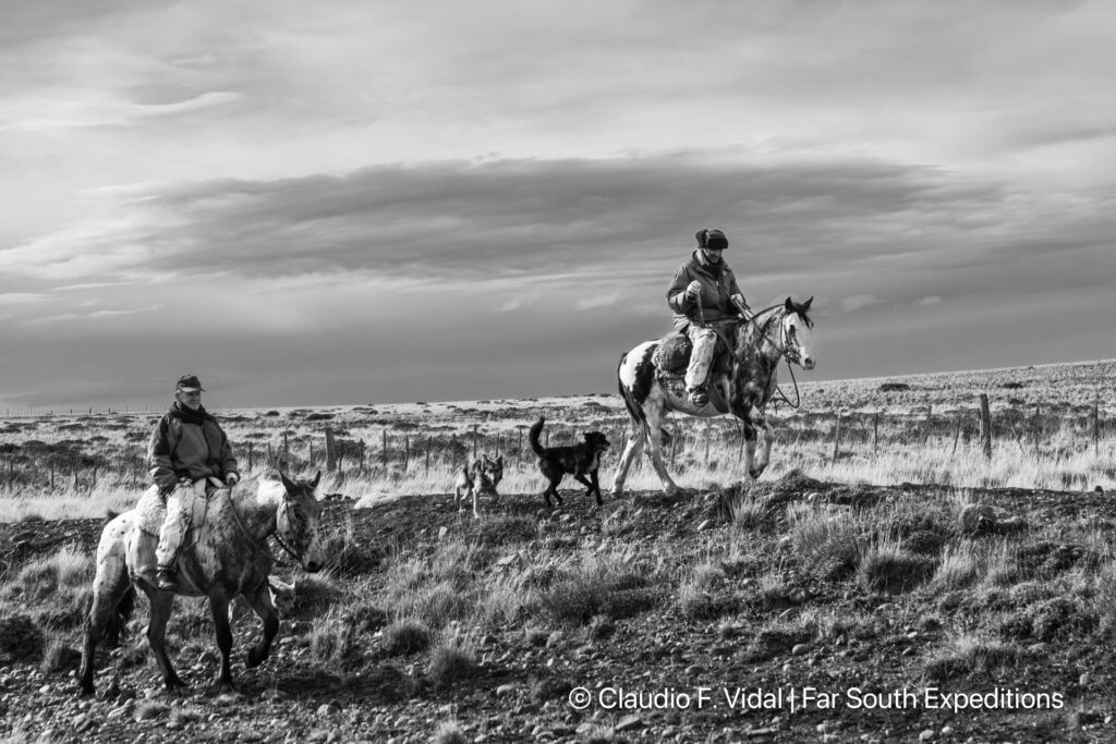 northern patagonia photography tour