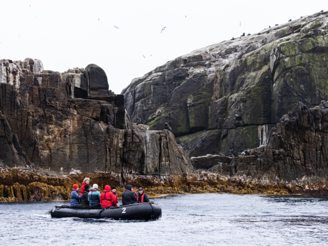 Bounties Birding Down Under Heritage Expeditions