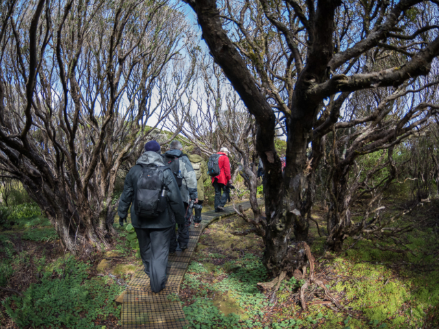 Birding Down Under Heritage Expeditions