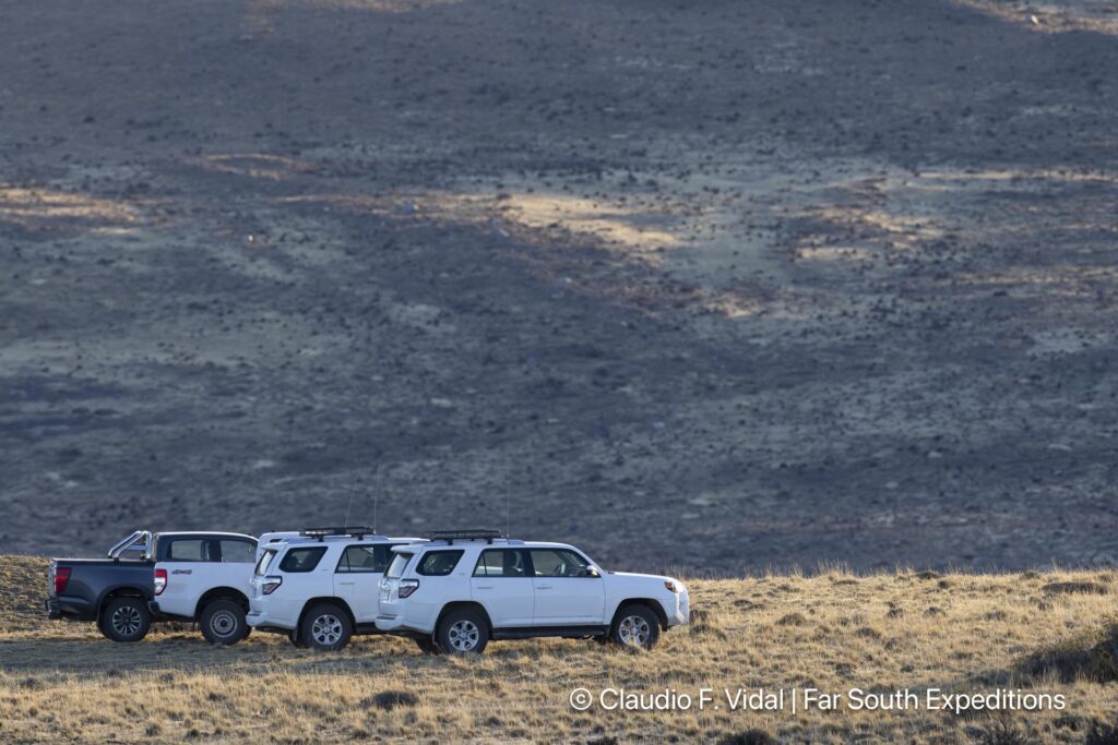 puma photography tours workshops patagonia