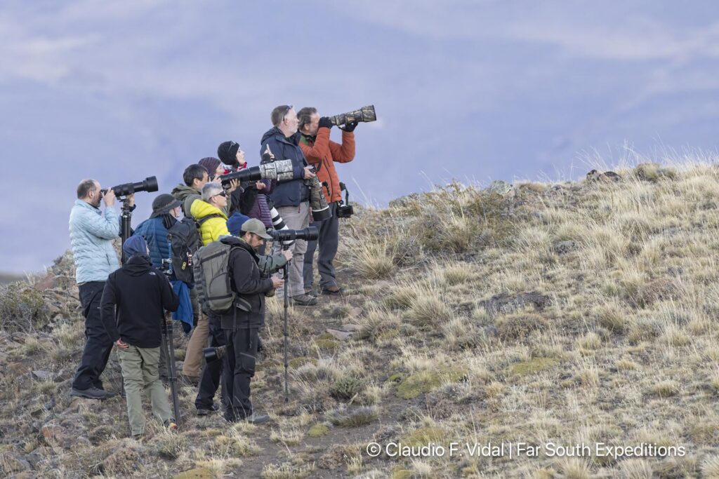 puma photography tours workshops patagonia