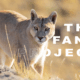 The Fang Project – Inspirando la conservación a través de la observación