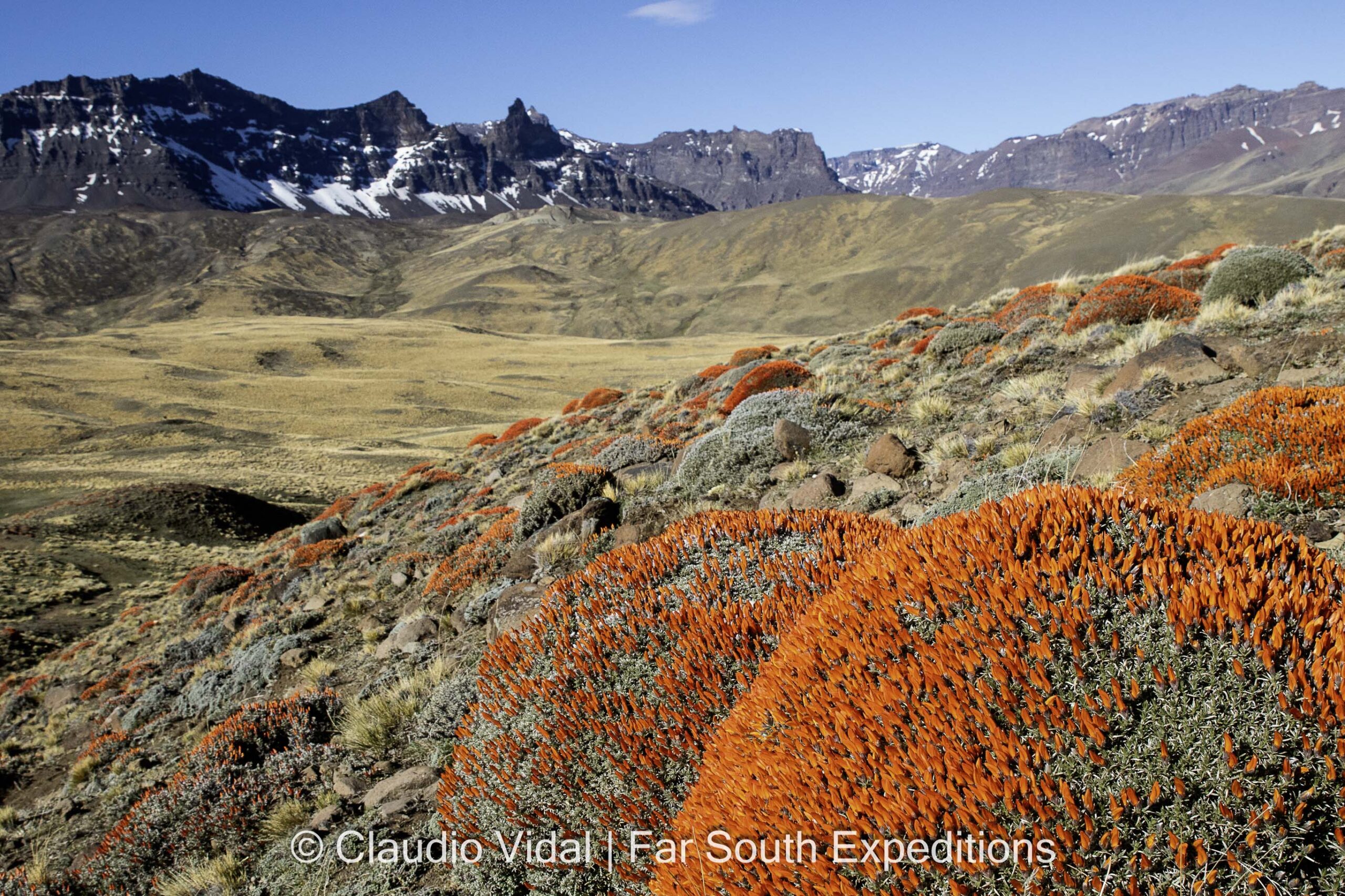 Sierra Baguales, Patagonia