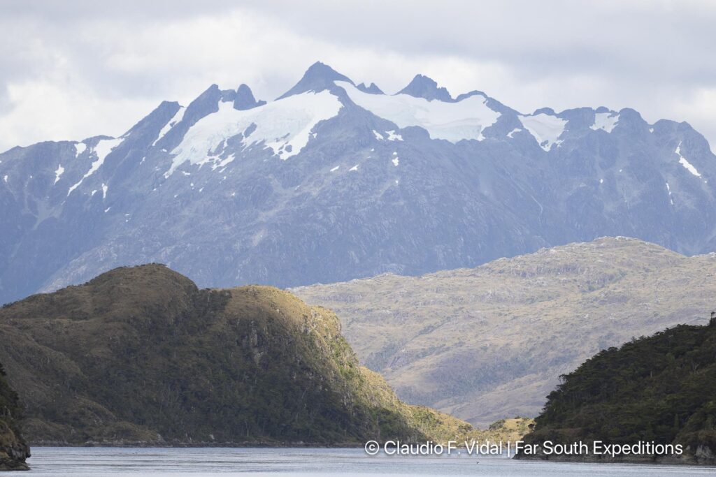 glaciers, whales seabirds magellan straits
