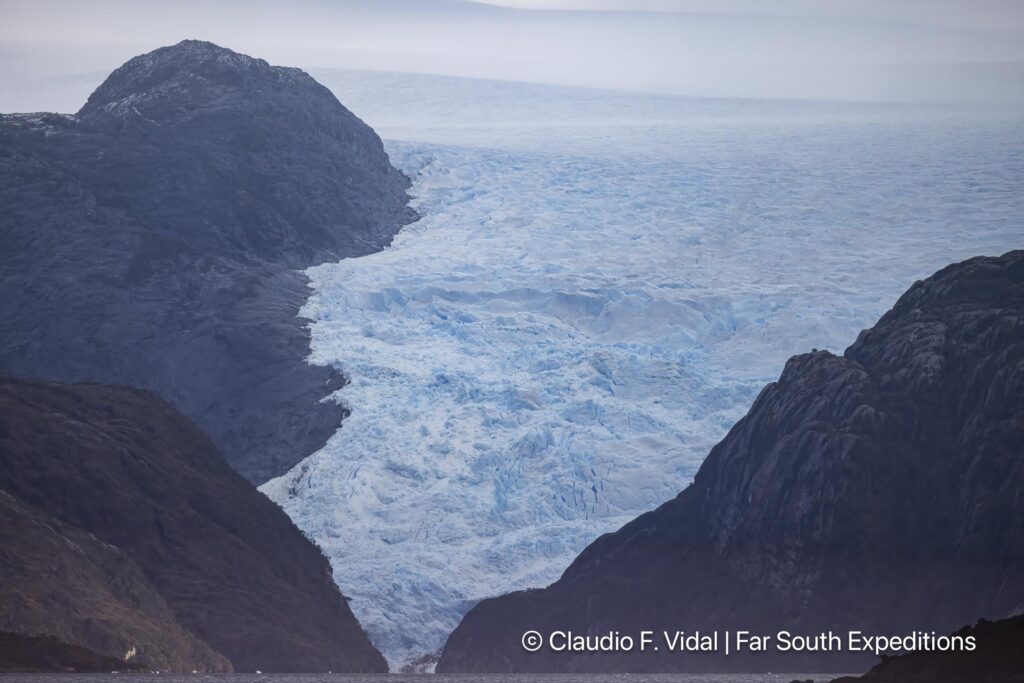 glaciers, whales seabirds magellan straits