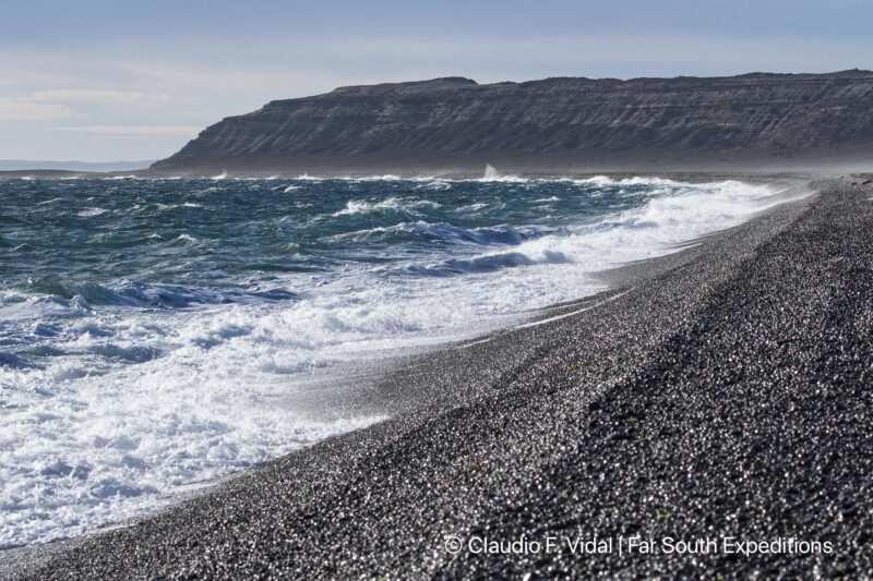 right whales valdes peninsula trip