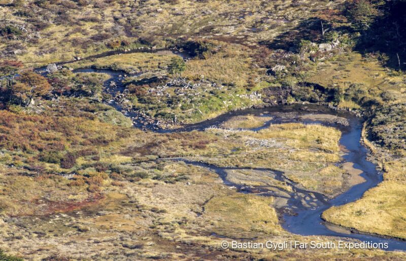 navarino island explorer trip