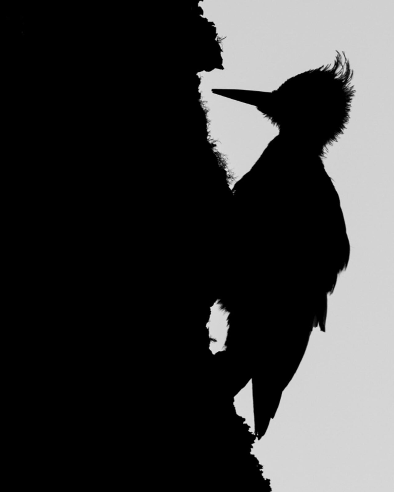 navarino island explorer trip